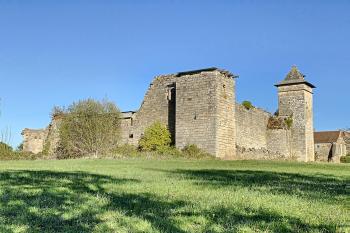 Two houses, studio, pool, 7,3 ha of pasture and woodland and ruins of a chateau